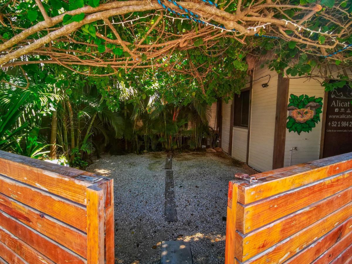 Alicat Villas Тулум Экстерьер фото